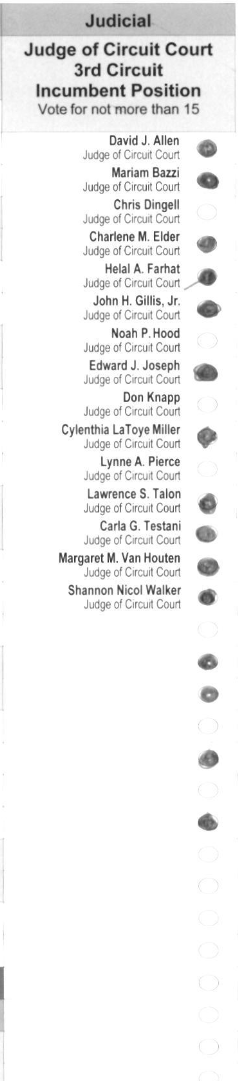 Primary-style BMD ballot example 15